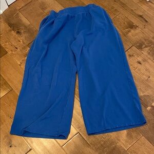 H&M wide leg Casual Blue Pants waist elastic 14”, inseam 25”, front rise 13”